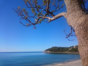 Un po di relax a pochi passi dal mare!